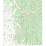 US Forest Service - Topo Gobernador, NM FSTopo Legacy digital map