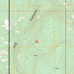 US Forest Service - Topo Gobernador, NM FSTopo Legacy digital map