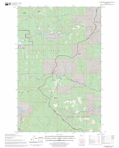 US Forest Service - Topo Goddards Peak, WA FSTopo Legacy digital map
