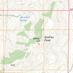 US Forest Service - Topo Godfrey Peak, NM FSTopo Legacy digital map