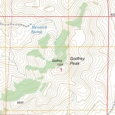 US Forest Service - Topo Godfrey Peak, NM FSTopo Legacy digital map