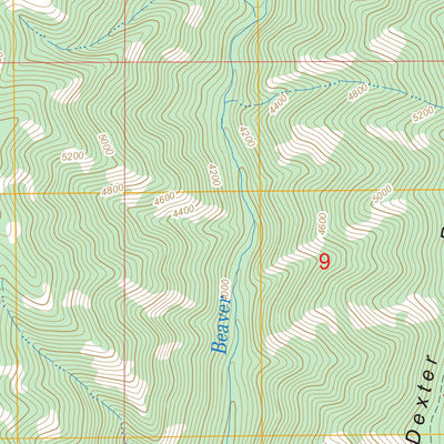 US Forest Service - Topo Godman Spring, WA - OR FSTopo Legacy digital map