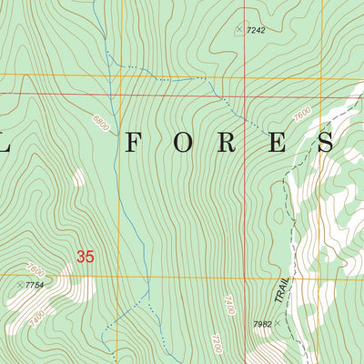 US Forest Service - Topo Gold Fork Rock, ID FSTopo Legacy digital map