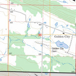US Forest Service - Topo Golden City, AR FSTopo Legacy digital map