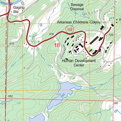 US Forest Service - Topo Golden City, AR FSTopo Legacy digital map