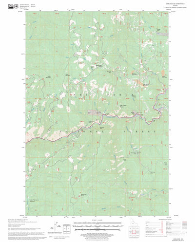 US Forest Service - Topo Golden, ID FSTopo Legacy digital map