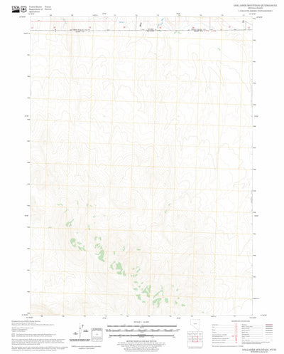 US Forest Service - Topo Gollaher Mountain, NV - ID FSTopo Legacy digital map