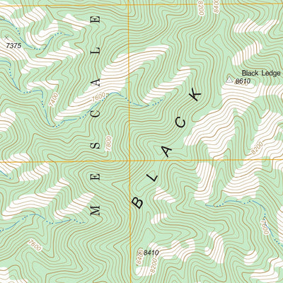 US Forest Service - Topo Golondrina Draw, NM FSTopo Legacy digital map