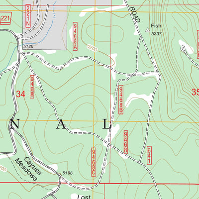 US Forest Service - Topo Goodwin Meadows, ID FSTopo Legacy digital map