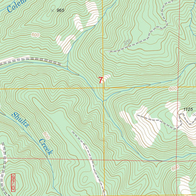 US Forest Service - Topo Goodwin Peak, OR FSTopo Legacy digital map