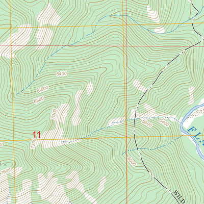 US Forest Service - Topo Gooseberry Park, MT FSTopo Legacy digital map