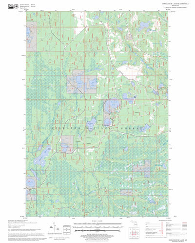 US Forest Service - Topo Gooseneck Lake, MI FSTopo Legacy digital map