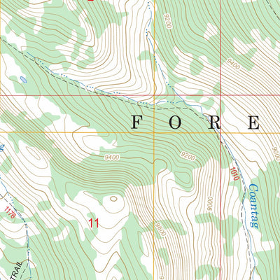 US Forest Service - Topo Graham Peak, WY FSTopo Legacy digital map