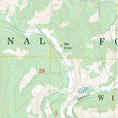 US Forest Service - Topo Granny Mountain, NM FSTopo Legacy digital map