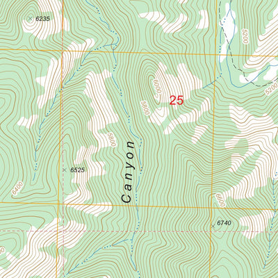 US Forest Service - Topo Granny Mountain, NM FSTopo Legacy digital map