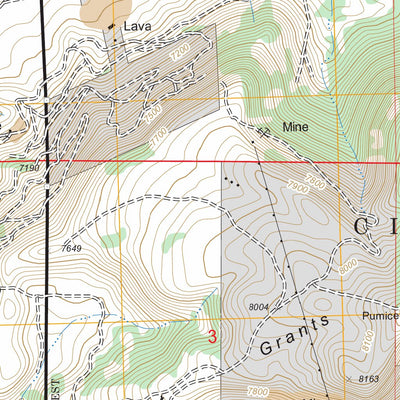 US Forest Service - Topo Grants, NM FSTopo Legacy digital map