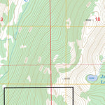 US Forest Service - Topo Grass Mountain, ID FSTopo Legacy digital map