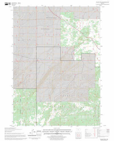 US Forest Service - Topo Grass Well, OR FSTopo Legacy digital map
