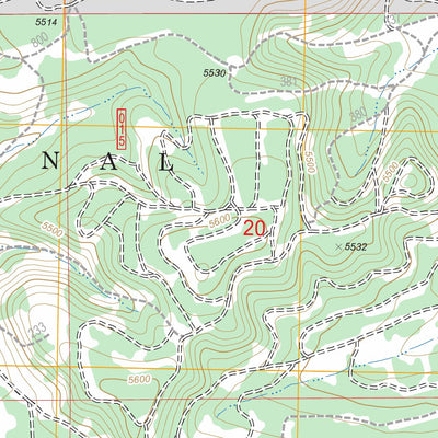 US Forest Service - Topo Grass Well, OR FSTopo Legacy digital map