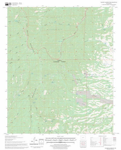 US Forest Service - Topo Grassy Lookout, NM FSTopo Legacy digital map