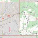 US Forest Service - Topo Grassy Mountain, MT FSTopo Legacy digital map