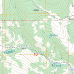 US Forest Service - Topo Gravely Mountain, MT FSTopo Legacy digital map