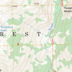 US Forest Service - Topo Graveyard Peak, CA FSTopo Legacy digital map