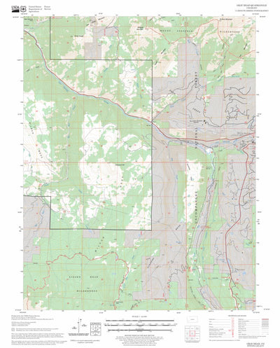 US Forest Service - Topo Gray Head, CO FSTopo Legacy digital map