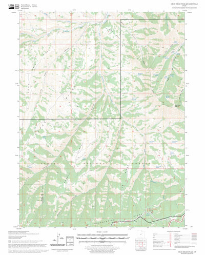 US Forest Service - Topo Gray Head Peak, UT FSTopo Legacy digital map