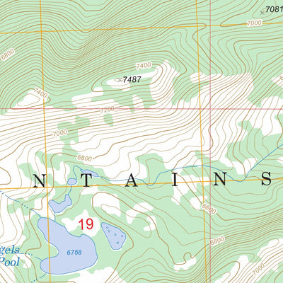 US Forest Service - Topo Gray Wolf Lake, MT FSTopo Legacy digital map