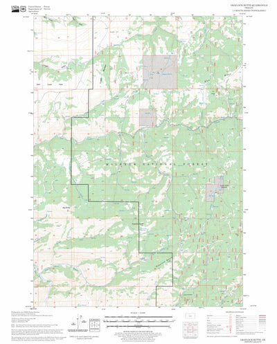 US Forest Service - Topo Graylock Butte, OR FSTopo Legacy digital map