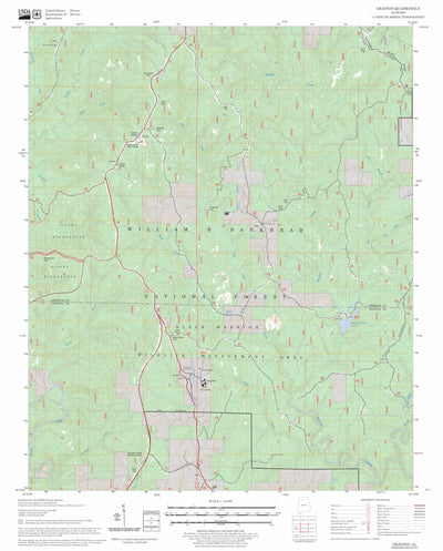 US Forest Service - Topo Grayson, AL FSTopo Legacy digital map