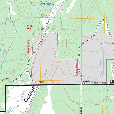 US Forest Service - Topo Green Ashly Gulch, MT FSTopo Legacy digital map