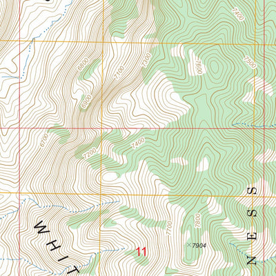 US Forest Service - Topo Green Springs, NV FSTopo Legacy digital map