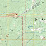 US Forest Service - Topo Grider Valley, CA FSTopo Legacy digital map