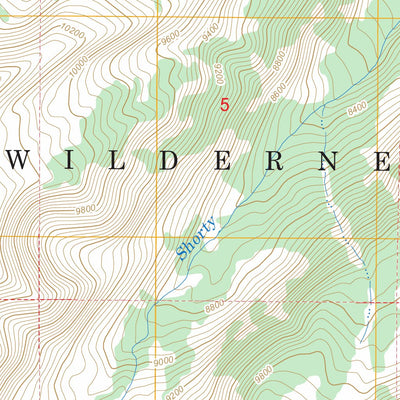 US Forest Service - Topo Grizzly Lake, WY FSTopo Legacy digital map