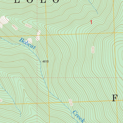 US Forest Service - Topo Grizzly Point, MT FSTopo Legacy digital map