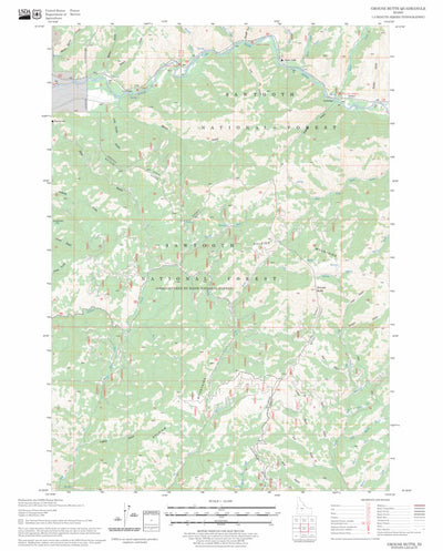 US Forest Service - Topo Grouse Butte, ID FSTopo Legacy digital map