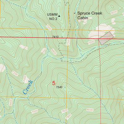 US Forest Service - Topo Grouse Mountain, NM FSTopo Legacy digital map