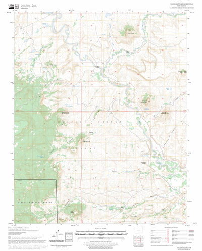 US Forest Service - Topo Guadalupe, NM FSTopo Legacy digital map