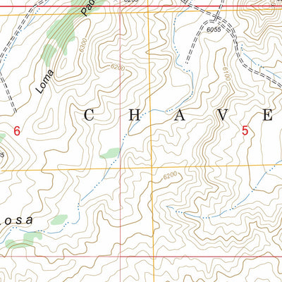 US Forest Service - Topo Guadalupe, NM FSTopo Legacy digital map