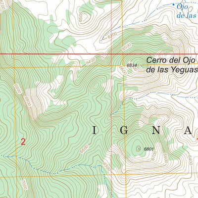 US Forest Service - Topo Guadalupe, NM FSTopo Legacy digital map