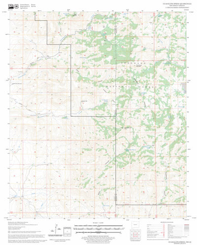 US Forest Service - Topo Guadalupe Spring, NM - AZ FSTopo Legacy digital map