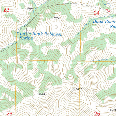 US Forest Service - Topo Guadalupe Spring, NM - AZ FSTopo Legacy digital map