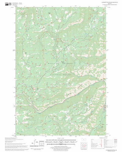 US Forest Service - Topo Gumboot Butte, OR FSTopo Legacy digital map