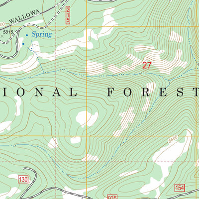 US Forest Service - Topo Gumboot Butte, OR FSTopo Legacy digital map