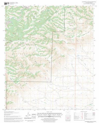 US Forest Service - Topo Gunsight Canyon, NM - TX FSTopo Legacy digital map