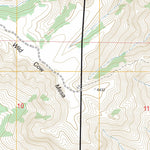 US Forest Service - Topo Gunsight Canyon, NM - TX FSTopo Legacy digital map