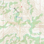 US Forest Service - Topo Gunsight Canyon, NM - TX FSTopo Legacy digital map