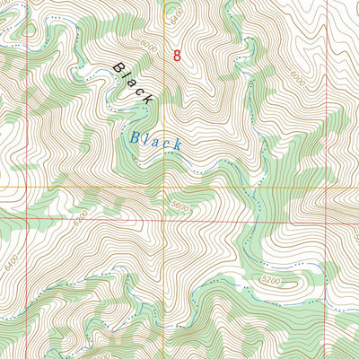 US Forest Service - Topo Gunsight Canyon, NM - TX FSTopo Legacy digital map